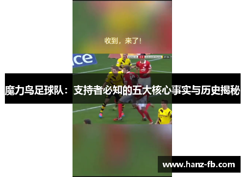 魔力鸟足球队：支持者必知的五大核心事实与历史揭秘